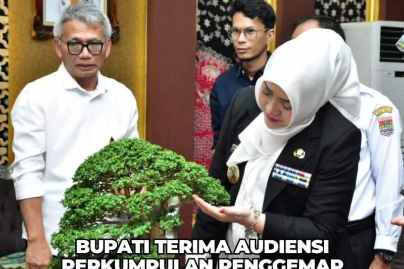 Bupati Mura Rekom Taman Beregam Jadi Tempat Lomba Bonsai